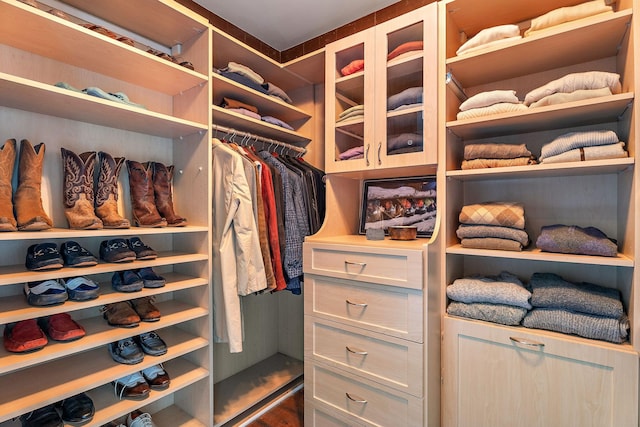 view of walk in closet