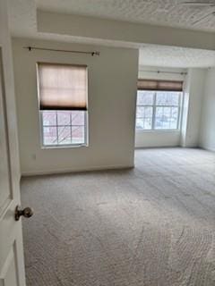 empty room featuring carpet and a textured ceiling