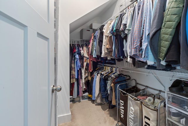 view of spacious closet