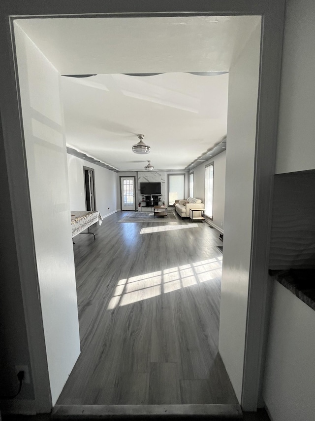 hallway with dark wood finished floors