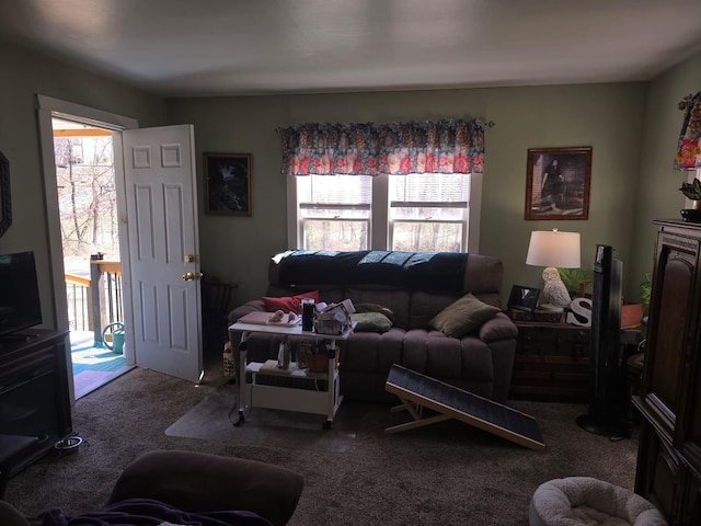 view of carpeted living area