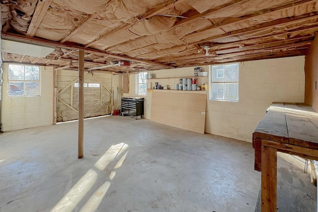 basement featuring concrete block wall