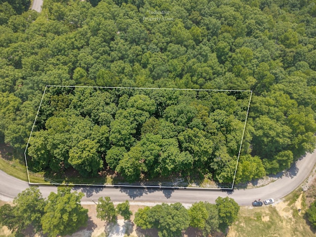 0 Coves Pointe Rd, Sparta, TN 38583 - photo 2