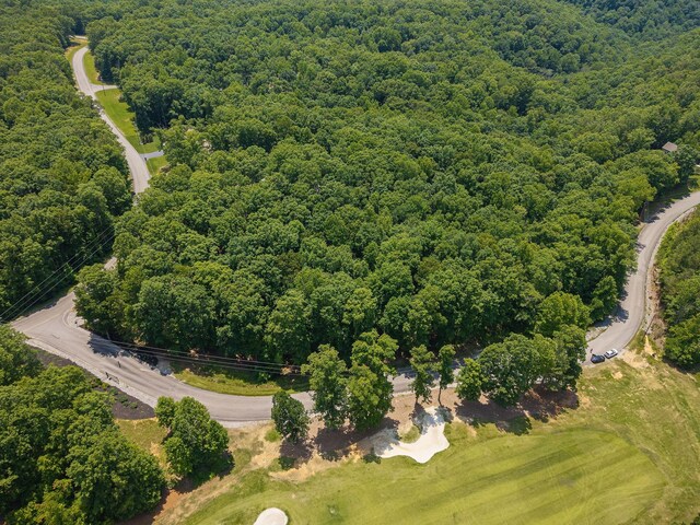 0 Coves Pointe Rd, Sparta, TN 38583 - photo 8