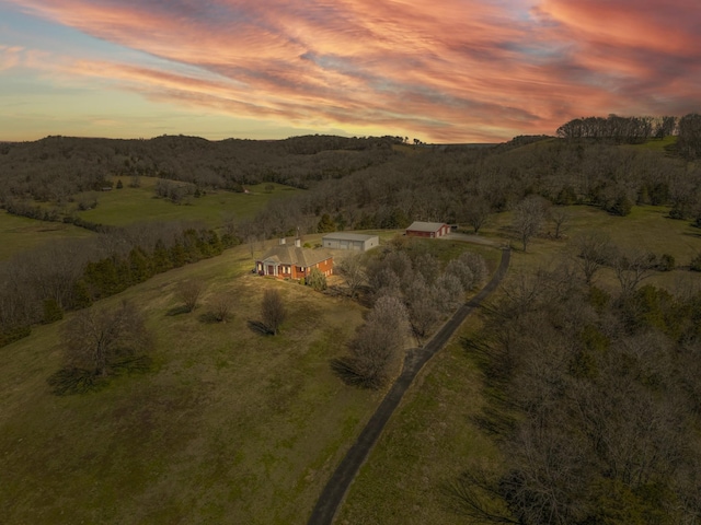 birds eye view of property with a rural view and a forest view