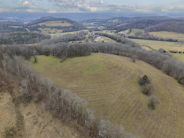 954 Molino Rd, Fayetteville, TN 37334 - photo 17