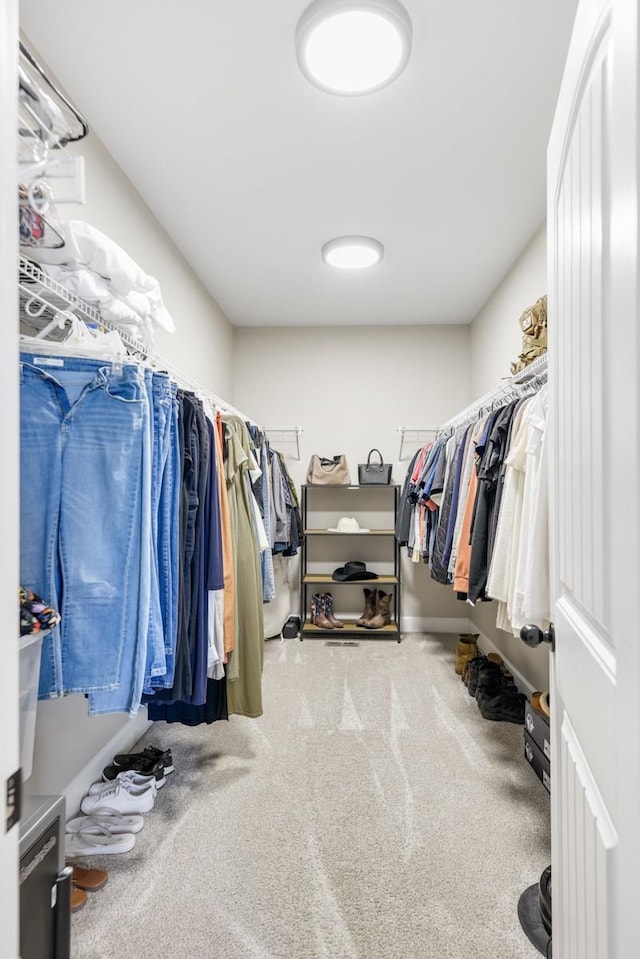 spacious closet featuring carpet flooring