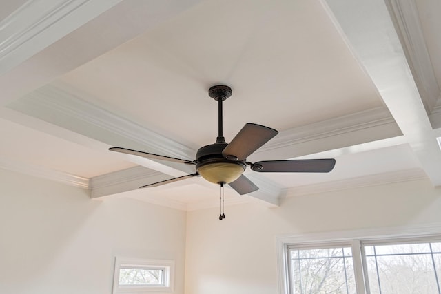 details featuring beamed ceiling, ornamental molding, and a ceiling fan