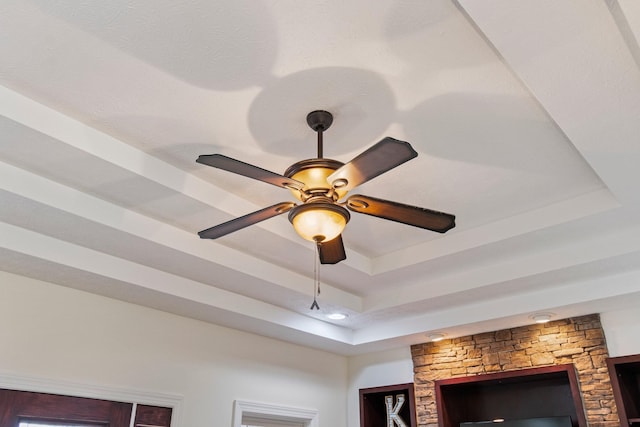 room details with a raised ceiling