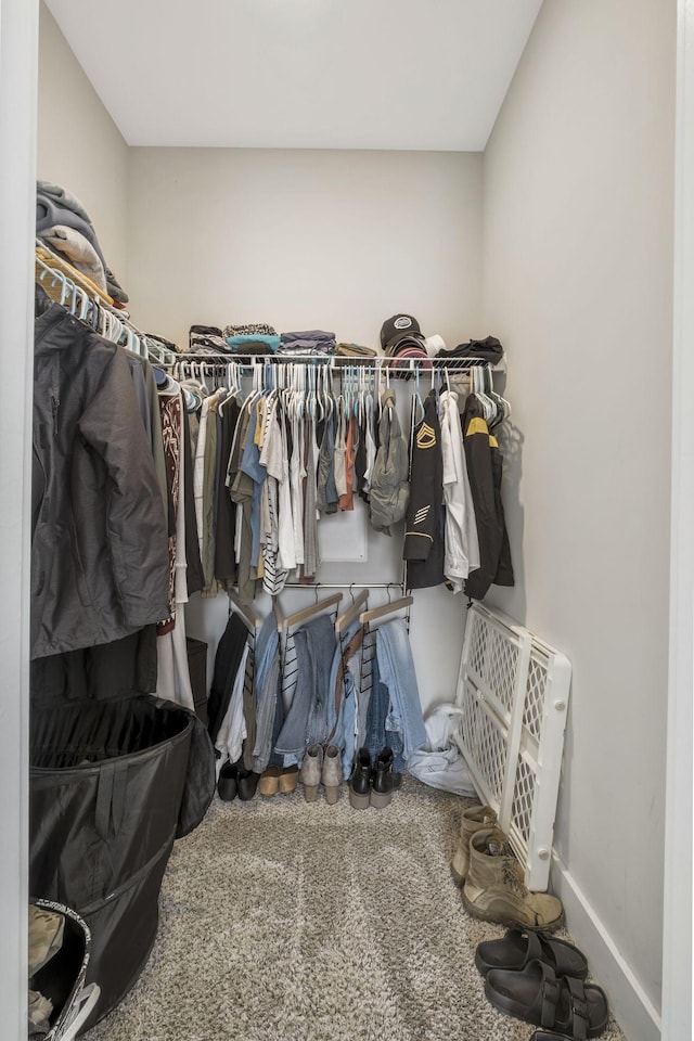 walk in closet featuring carpet floors