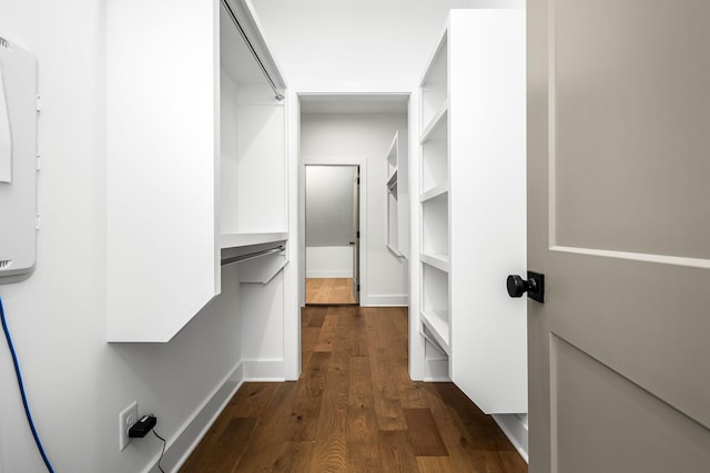 spacious closet featuring dark wood finished floors