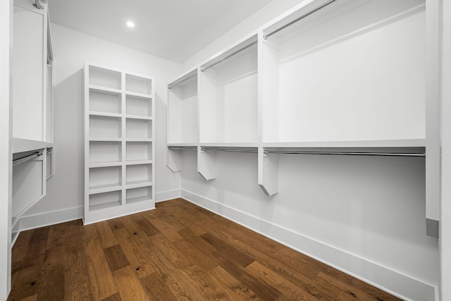 spacious closet with dark wood-type flooring