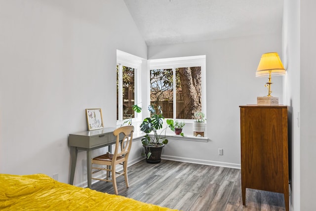 interior space with baseboards, lofted ceiling, a textured ceiling, and wood finished floors