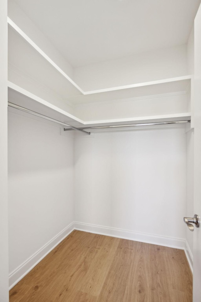 spacious closet featuring wood finished floors