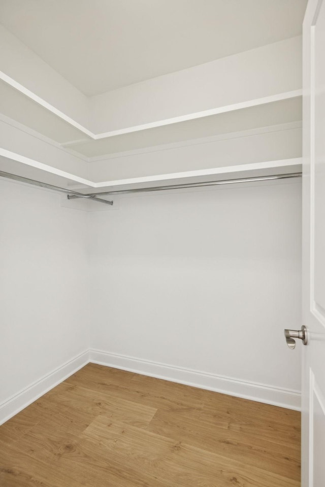 spacious closet with light wood-type flooring