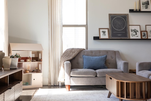 sitting room featuring wood finished floors