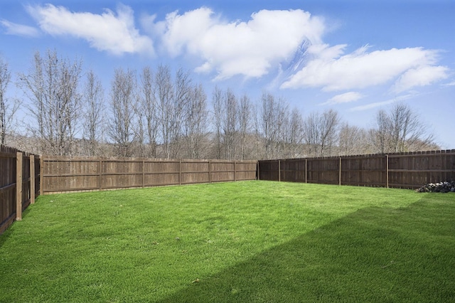 view of yard with a fenced backyard