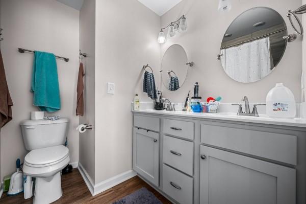 full bathroom with baseboards, toilet, double vanity, wood finished floors, and a sink