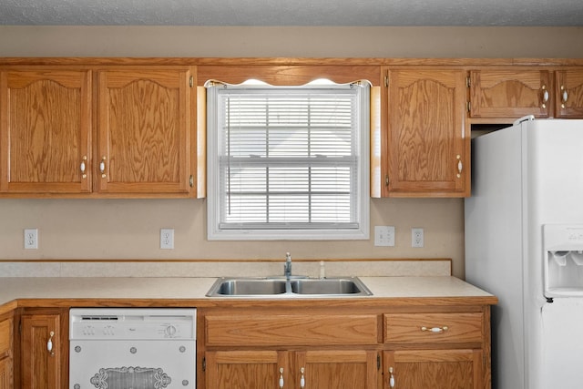 kitchen featuring white appliances, light countertops, and a sink