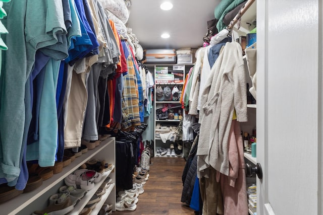 walk in closet featuring wood finished floors