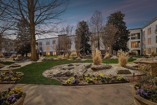 view of community featuring a yard