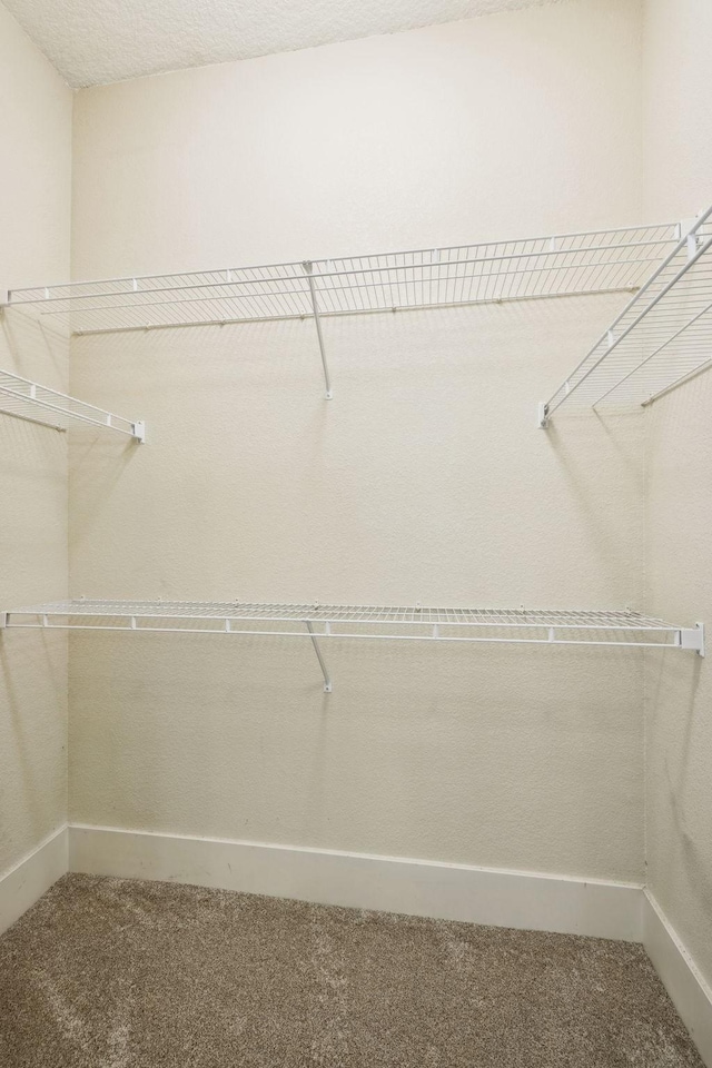 spacious closet featuring carpet flooring