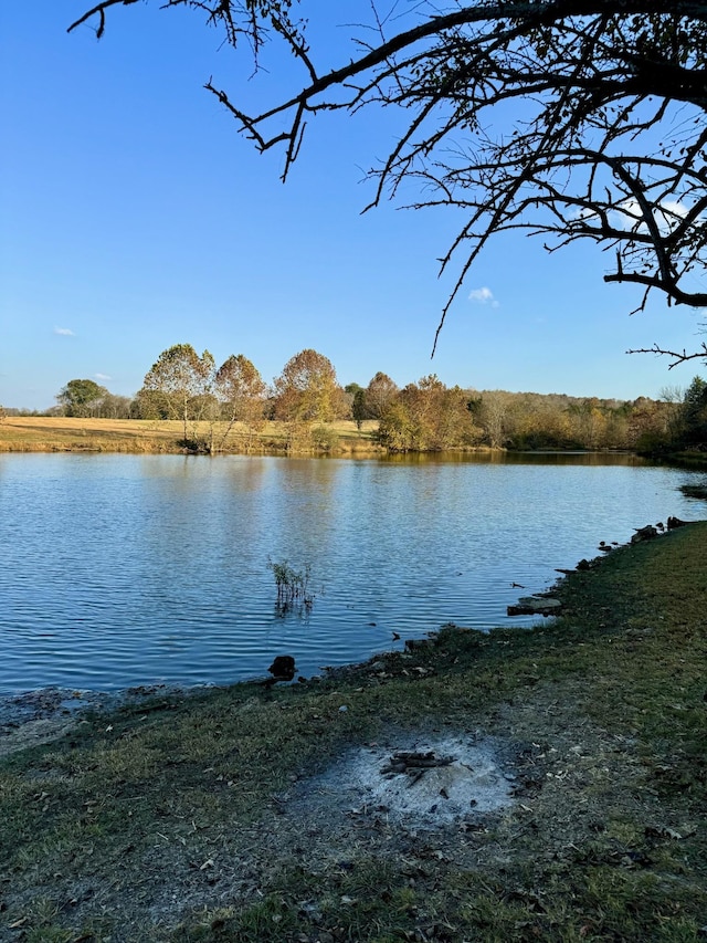 view of water feature