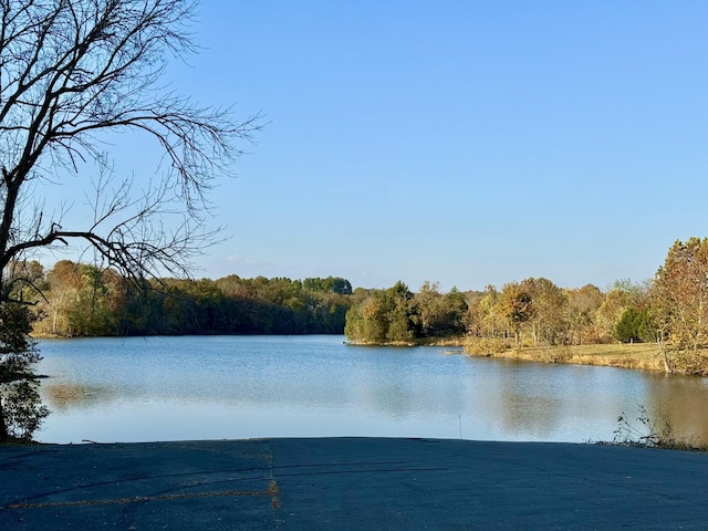 view of water feature featuring a view of trees