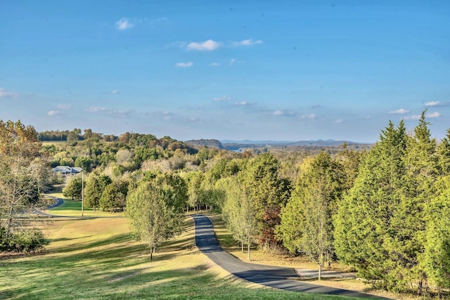 view of home's community with a lawn and a view of trees