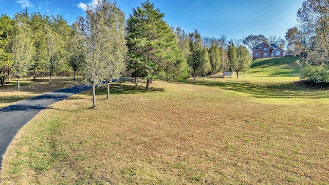 view of community with aphalt driveway and a yard