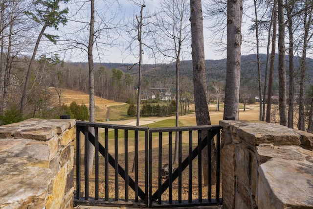 view of yard with a gate