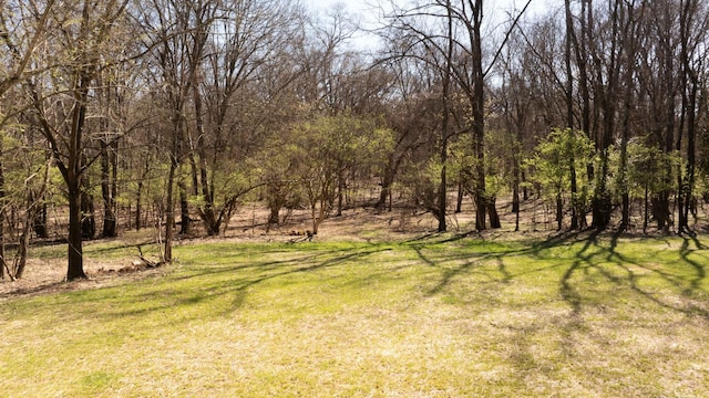 542 Cumberland Hills Dr, Hendersonville, TN 37075 - photo 25