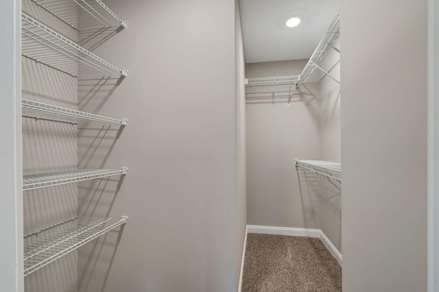 spacious closet featuring carpet floors