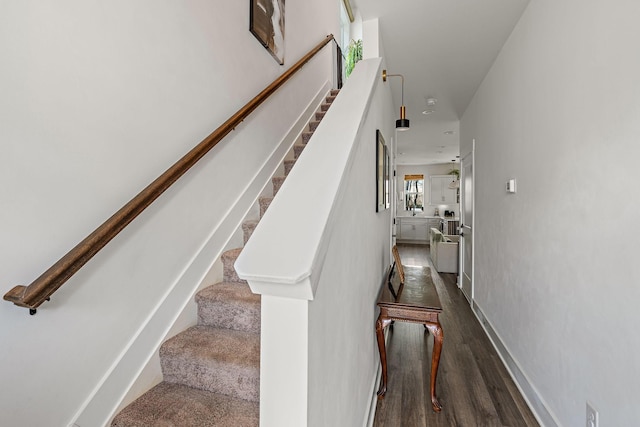 staircase featuring wood finished floors