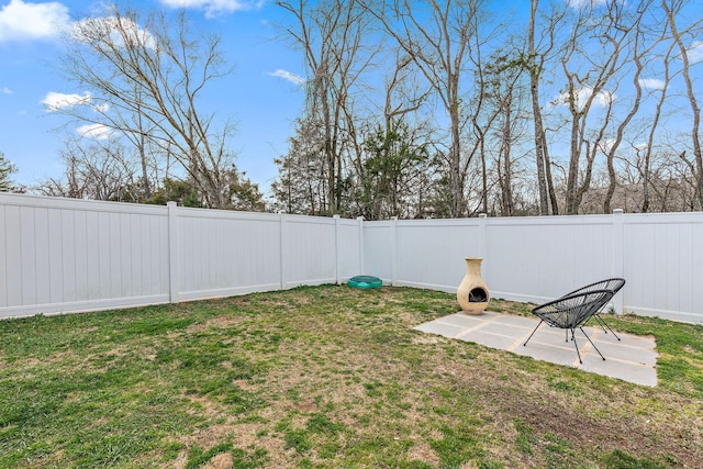 view of yard with a patio area and a fenced backyard