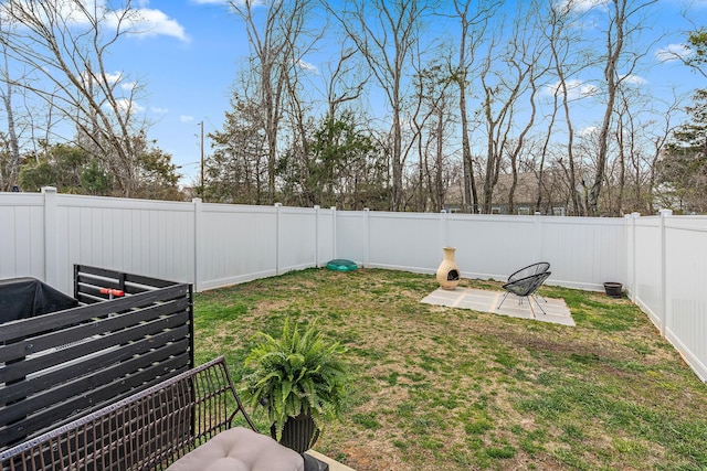 view of yard with a patio area and a fenced backyard