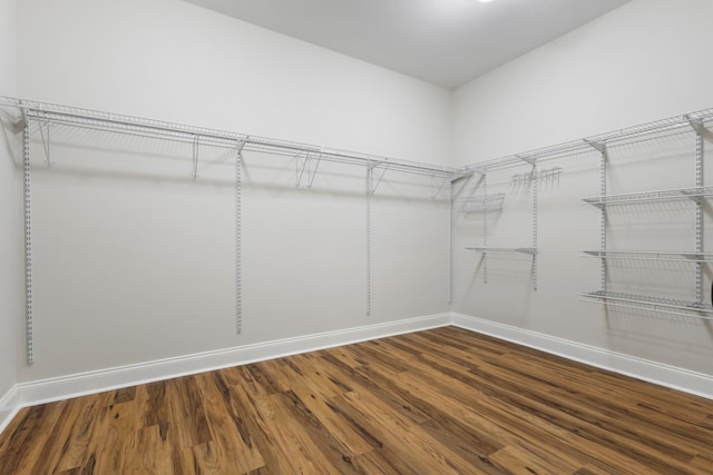 walk in closet featuring wood finished floors