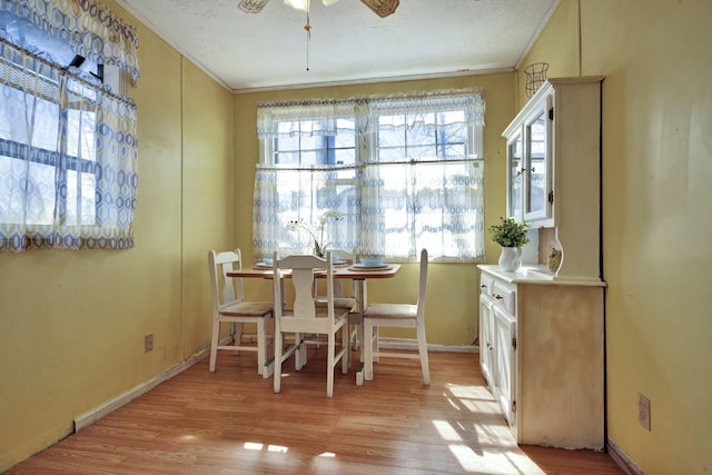 dining area with ceiling fan, plenty of natural light, light wood-style flooring, and crown molding