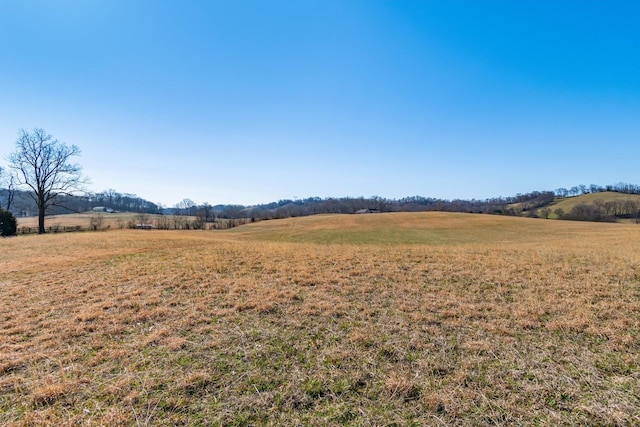 view of yard featuring a rural view