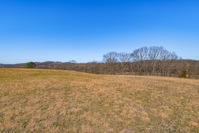 view of landscape featuring a rural view