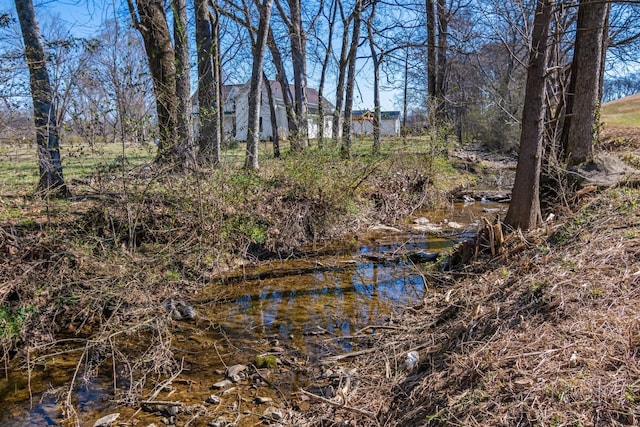 view of nature