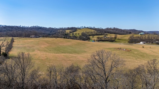 mountain view featuring a rural view