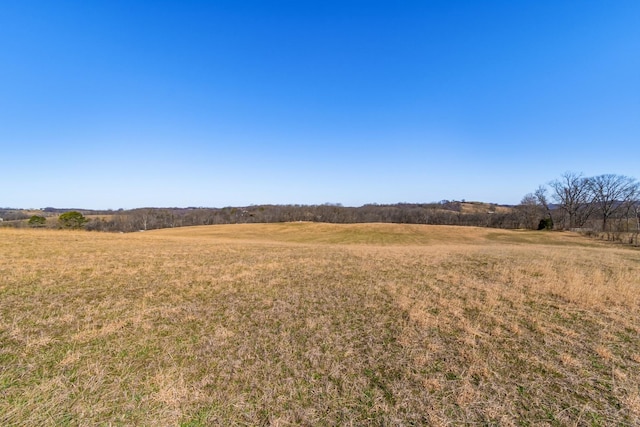 view of local wilderness with a rural view