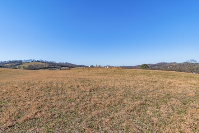 view of landscape with a rural view