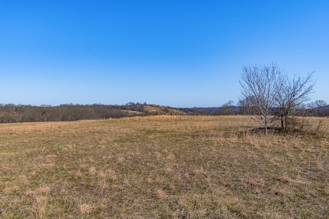 view of local wilderness with a rural view