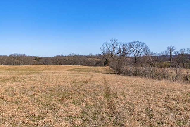 view of local wilderness featuring a rural view