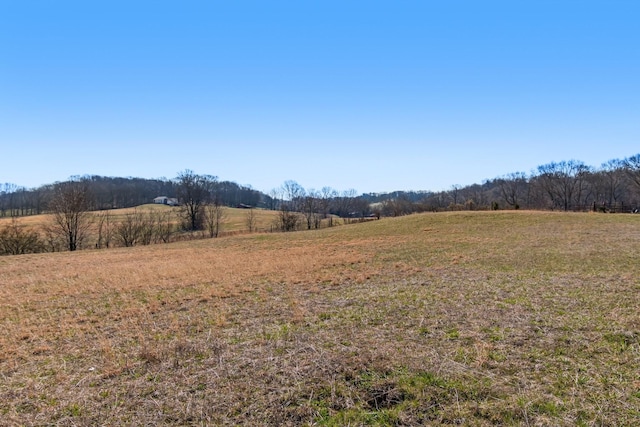 view of yard featuring a rural view