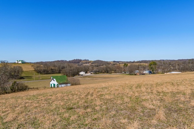 view of yard with a rural view