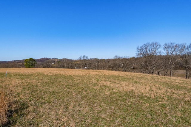 view of local wilderness with a rural view