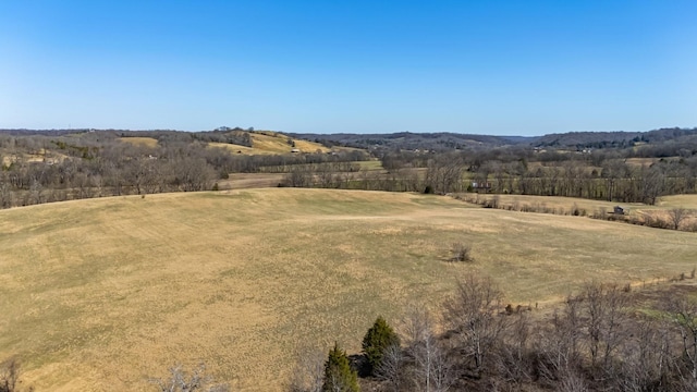 property view of mountains with a rural view